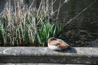 DSC_6899 (Large).JPG